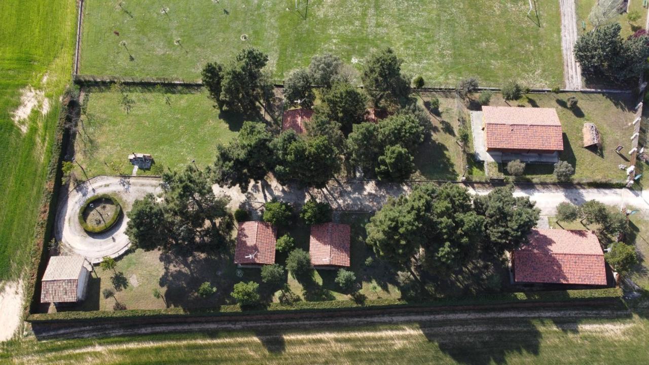 Las Casitas Del Pinar Bayubas de Abajo Kültér fotó