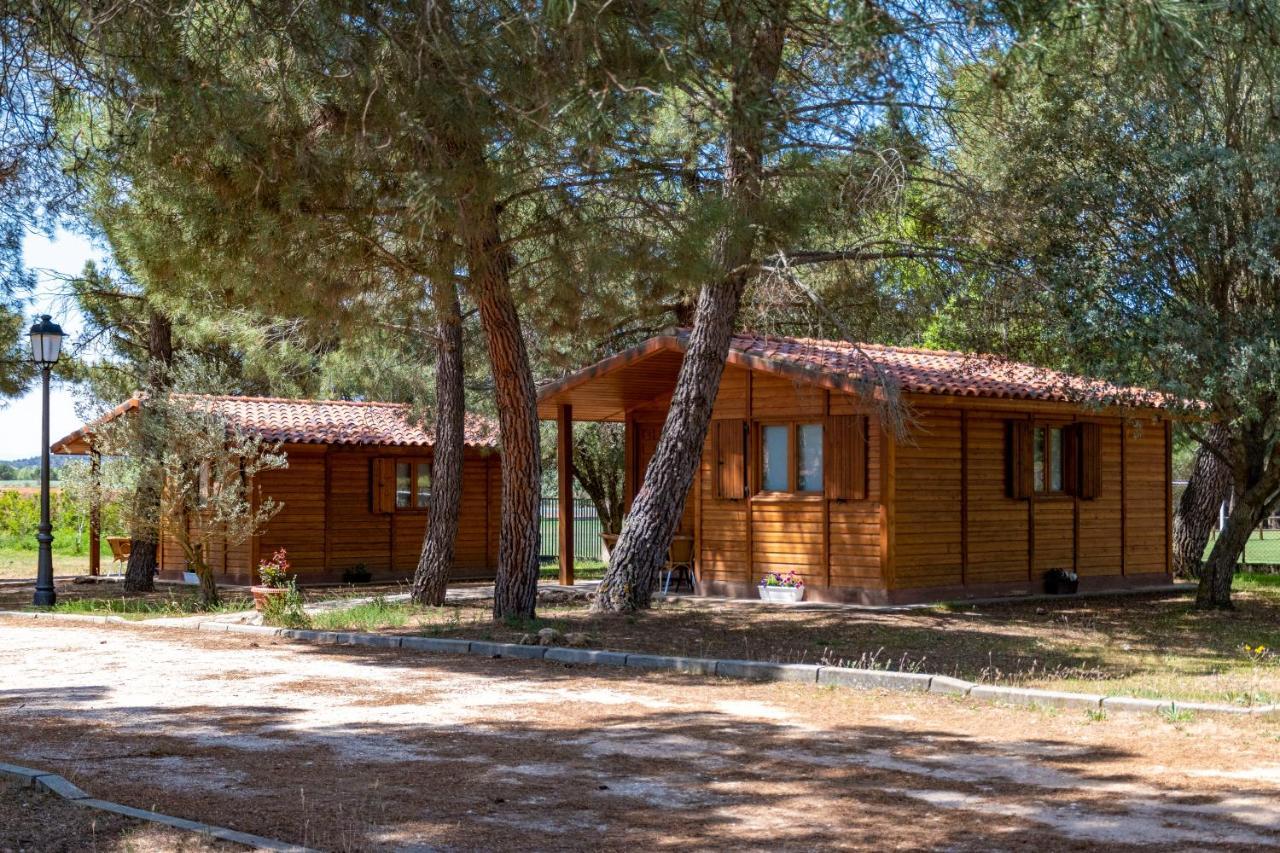 Las Casitas Del Pinar Bayubas de Abajo Kültér fotó