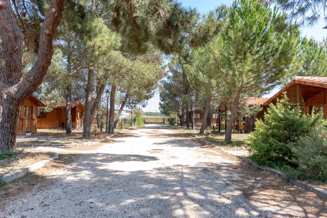 Las Casitas Del Pinar Bayubas de Abajo Kültér fotó